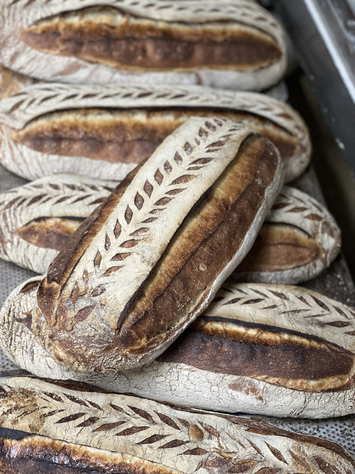 Golden bread
