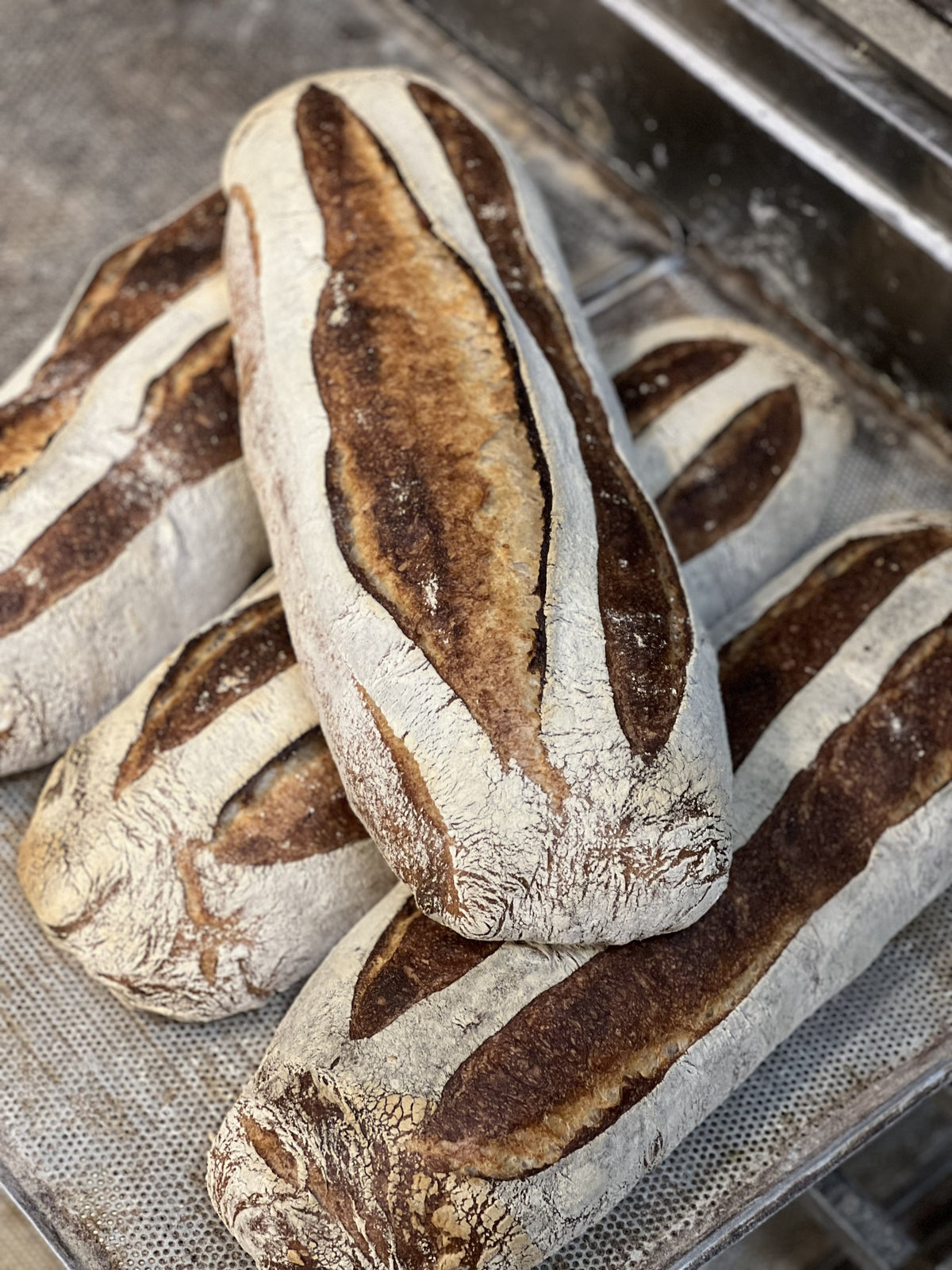 Dinkellevain